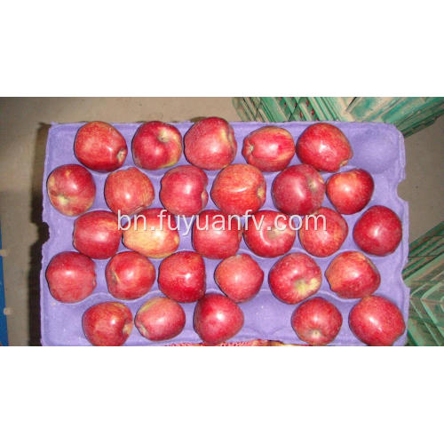 Hotsale মিষ্টি এবং খাস্তা লাল তারকা আপেল